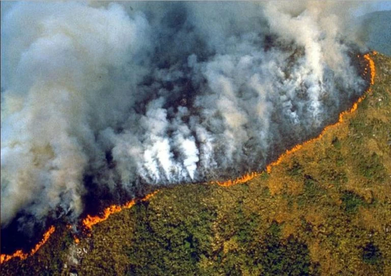 Σκοτείνιασε το Σάο Πάολο από τους καπνούς φωτιάς στον Αμαζόνιο (εικόνες)